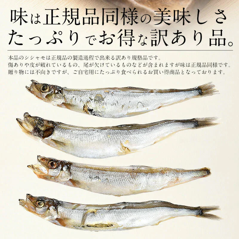ししゃも シシャモ 子持ち 訳あり メス 1kg お徳用 1キロ 海産物 美味しい 冷凍 大量 魚 自宅用 子持ちししゃも まとめ買い 海鮮 食べ物 贈答用 グルメ 魚介 おかず おつまみ 酒のつまみ 酒の肴 贈り物 贈答 海鮮ギフトセット 母の日 プレゼント ギフト  母の日思いの 健康