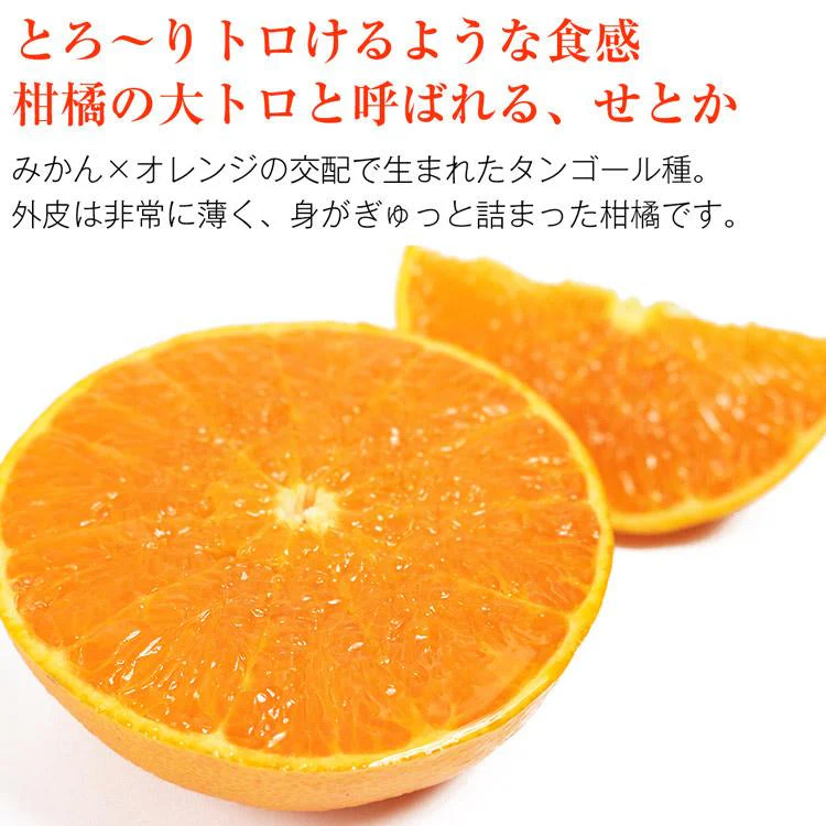 せとか みかん 5kg 愛媛県産 JAえひめ中央 柑橘 大トロ 高級 フルーツ ギフト 常温便【フレッシュセール】