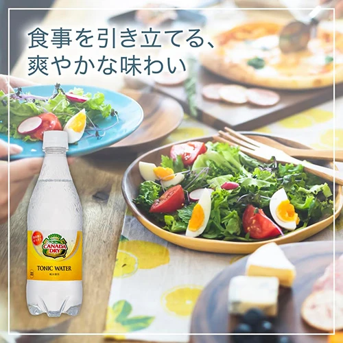 【1ケース】コカ・コーラ カナダドライ トニックウォーター 500ml  24本 炭酸 炭酸飲料 強炭酸 シトラス 割材 coca コカコーラ