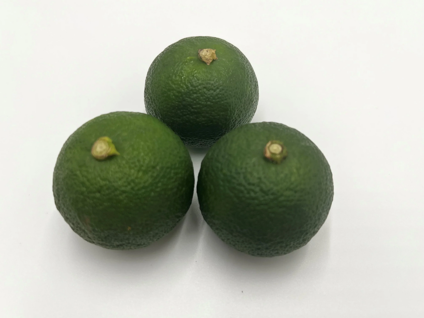 すだち　徳島県産　良品　４L　専用箱入
