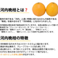 河内晩柑 みかん 送料無料 秀品 5kg M～2L 和製グレープフルーツ お取り寄せ 熊本県産 ジューシーオレンジ 美生柑