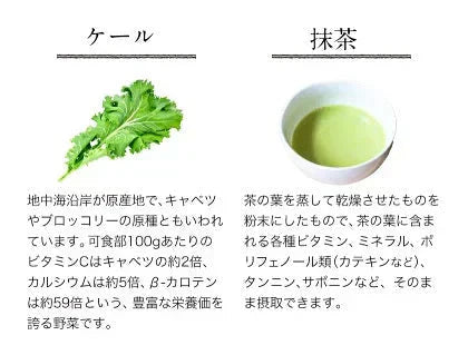 朝摘み もぎたて 青汁 大麦若葉 90g(3g×30包) 送料無料 美味しい 飲みやすい 青汁 乳酸菌 プラセンタ 食物繊維 ダイエット 甘い青汁《3-7営業日以内発送(土日祝除く)》