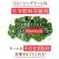 おいしい旬採れケール青汁　３袋入（ ケール 青汁 健康飲料 野菜 飲みやすい 緑茶 お茶 サプリメント ）【販売終了】