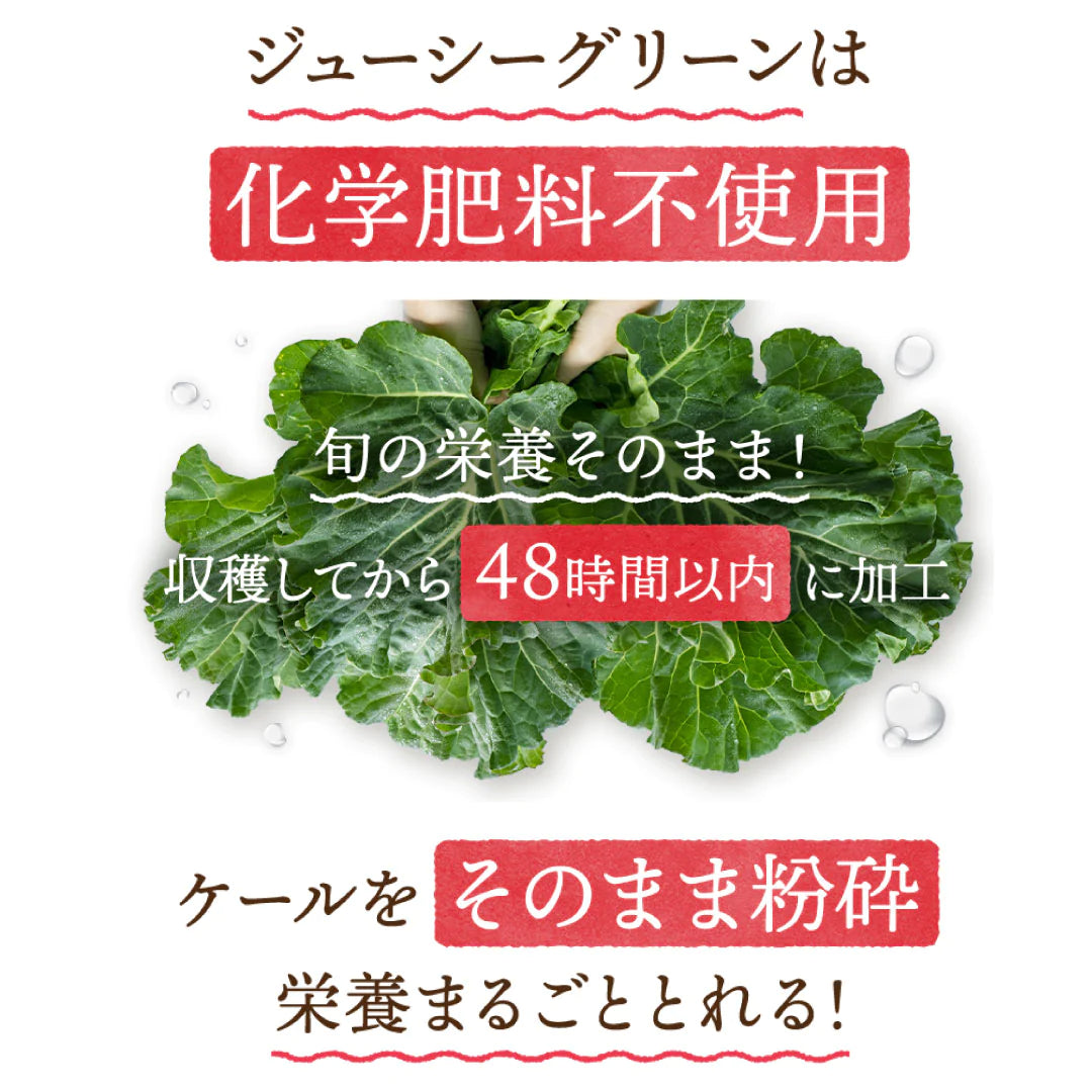 おいしい旬採れケール青汁　３袋入（ ケール 青汁 健康飲料 野菜 飲みやすい 緑茶 お茶 サプリメント ）【販売終了】
