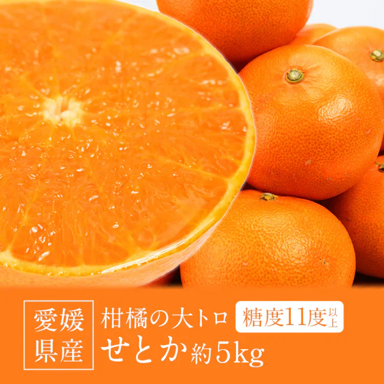 せとか みかん 5kg 愛媛県産 柑橘の大トロ kdm-090