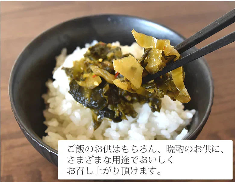 高菜漬 ごま高菜 漬物 600g（150g×4袋） 送料無料 お試し お取り寄せ 宮崎県産 胡麻たかな ポイント消化 つけもの