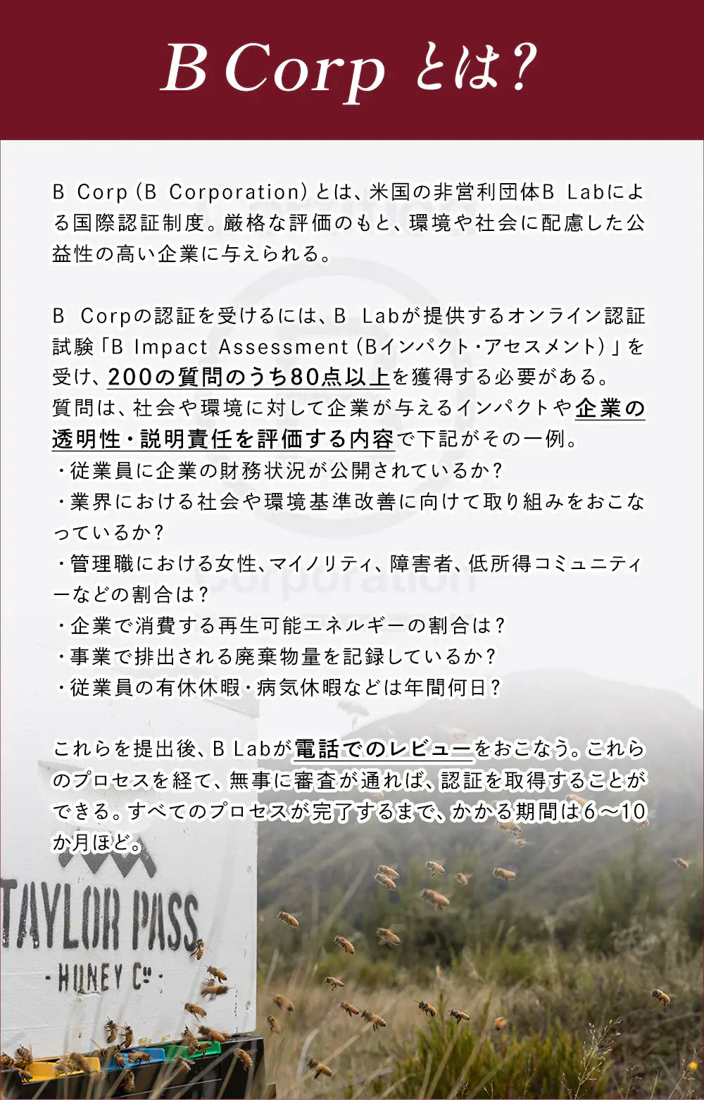 マヌカハニー UMF10+ [250g] MGO261～511 UMF協会認定【Taylor Pass ＆ マリリニュージーランド マヌカハニー】 生 はちみつ 非加熱 無添加 蜂蜜 モノフローラル 【送料無料】【最安値に挑戦】