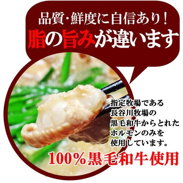新鮮「もつ鍋セット」2～3人前