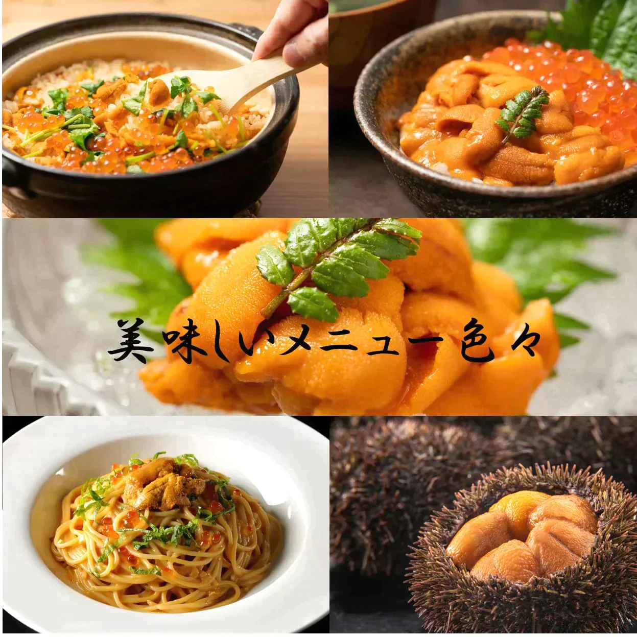 新鮮市場 訳あり ウニ 無添加 ブランチ 冷凍 生うに 100gｘ2パック 刺身 チリ ミョウバン 不使用 ギフト プレゼント 海産物 クリスマス お歳暮 母の日 父の日
