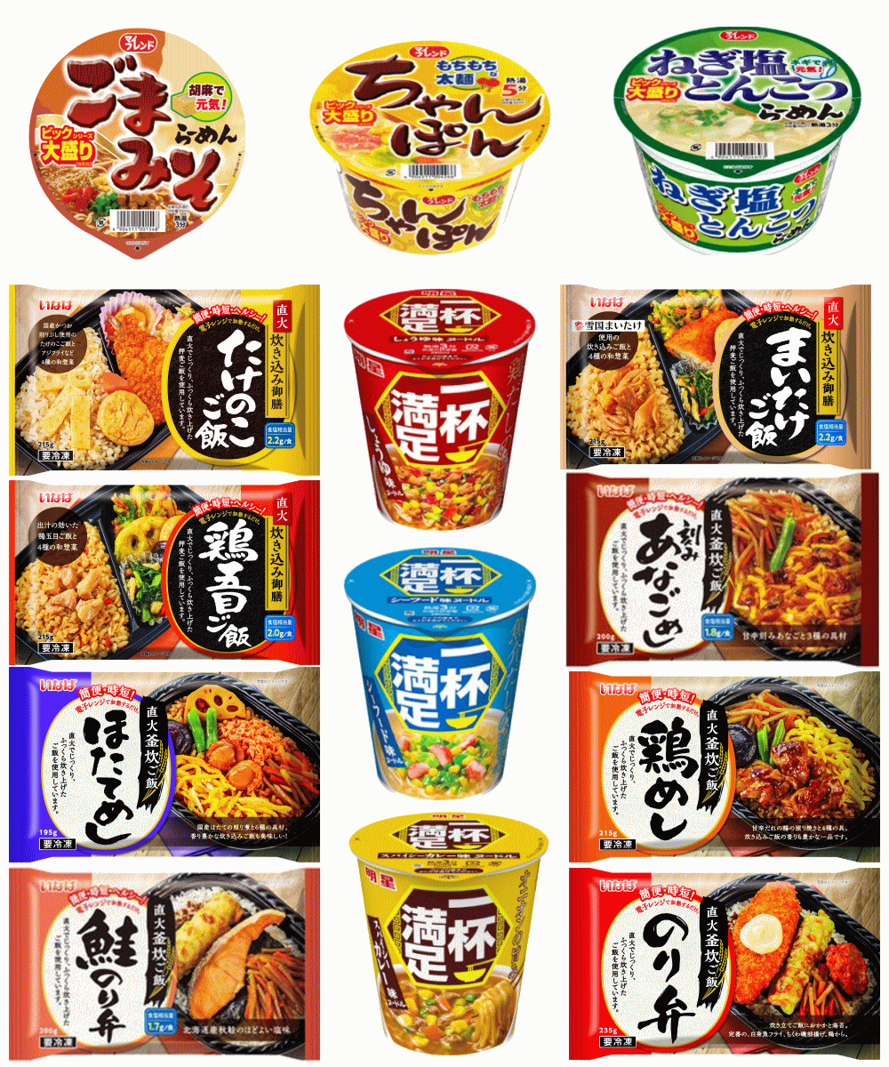 【広ちゃん食堂】弁当だけでは足りない！がっつり派の満足10食セット 弁当＋麺(レギュラーとビッグサイズ) マルコメ合わせみそ汁おまけ付き 関東圏送料無料