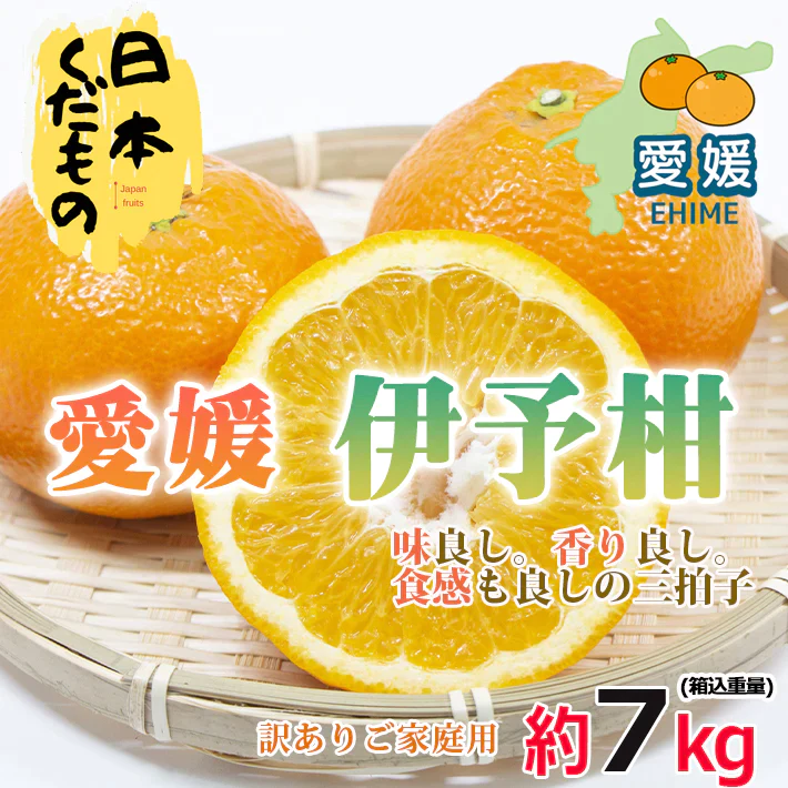 愛媛県産 伊予柑 7kg 訳あり家庭用 柑橘 いよかん