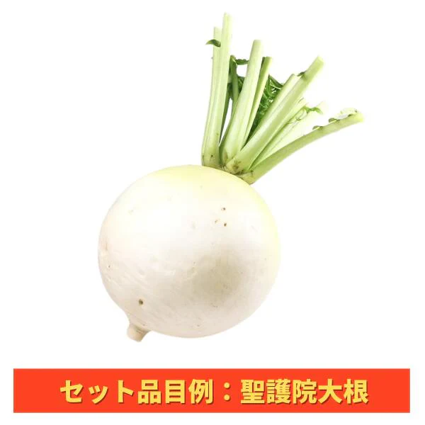【送料無料】おせち・お雑煮等おまかせ年末年始用京野菜セット(8～10品目以上)【レシピ付】(堀川ごぼう、聖護院大根、小海老芋、京人参、雑煮大根、京小松菜、京柚子、頭芋、京甘藷、京くわい、山の芋、京辛味大根、京筍(水煮)、京芹など)
