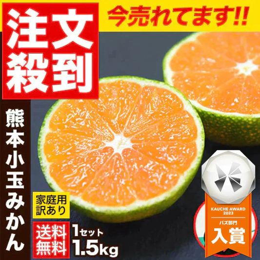 小玉 みかん 送料無料 訳あり みかん 小粒 1.5kg 家庭用 箱買い 果物 小粒 熊本 極早生 柑橘 九州 訳アリ だけど 小玉 で 甘い 蜜柑 わけあり 《9月末-10月下旬頃より発送予定》