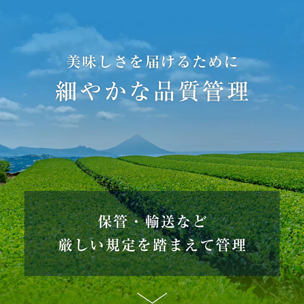 風土日和 有機玉露  鹿児島産 有機JAS認証 最高級茶葉使用 50g 賞味期限：2026年10月16日 カウシェ限定 ｜ オーガライフ