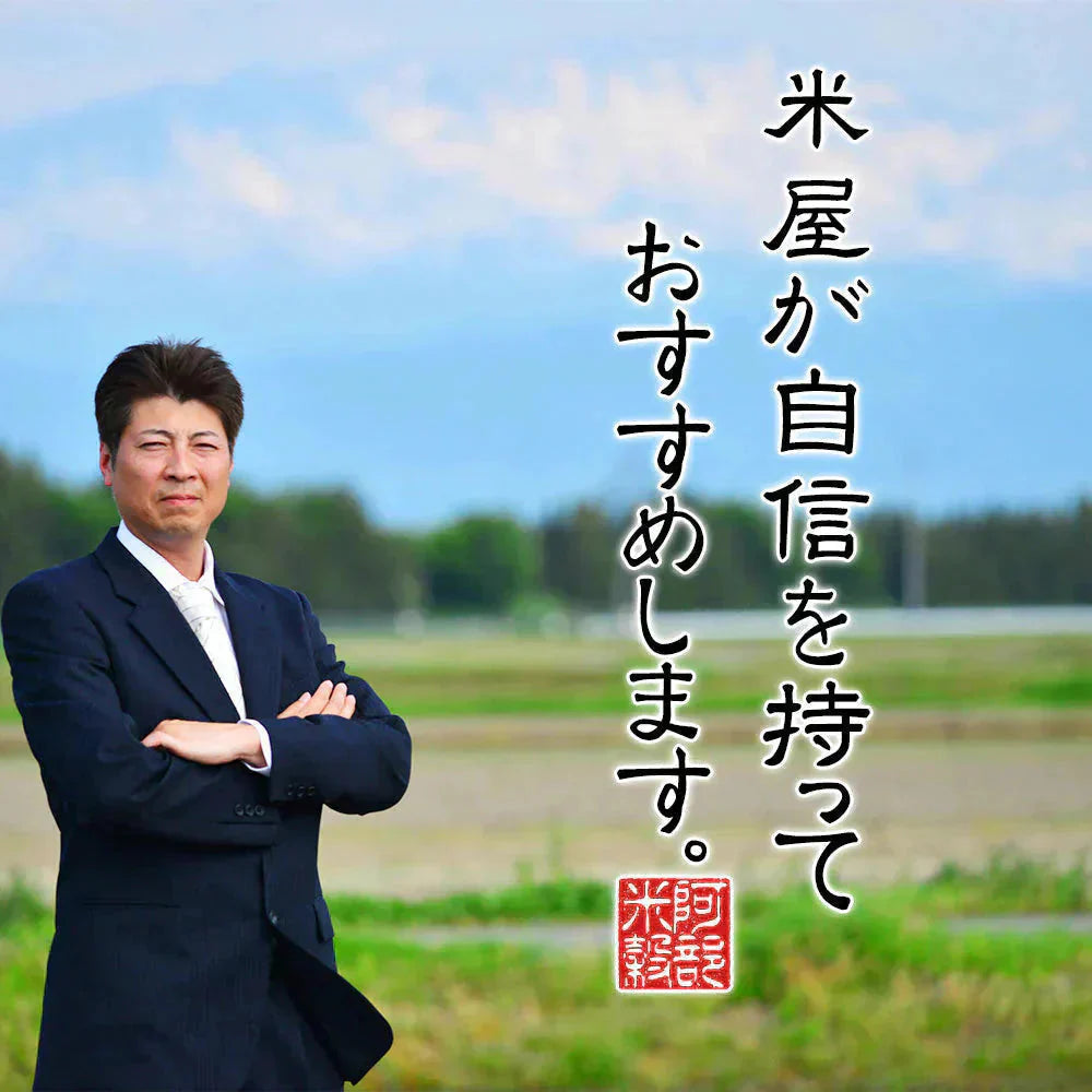 もち米 5kg 山形県産 ヒメノモチ 令和7年産 餅米 国内産 新米