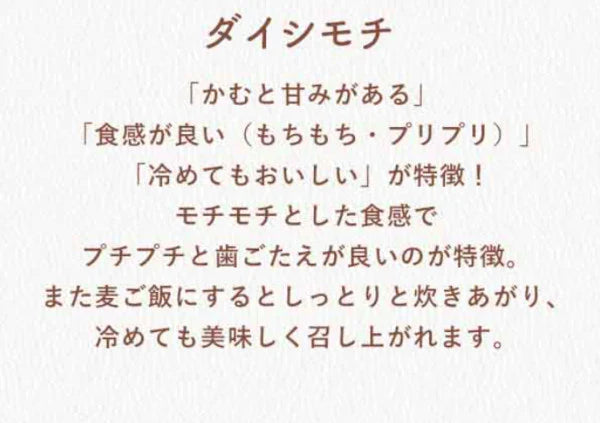 岡山県産　ダイシモチ/幻の紫もち麦　1kg　令和7年産