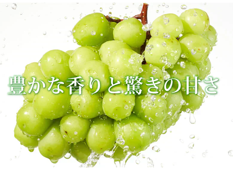 【7月下旬～8月上旬頃より順次出荷】シャインマスカット ぶどう 送料無料 2kg 3〜5房 九州産 マスカット 葡萄 ブドウ