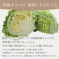 乾燥野菜 100g×2袋【青森のねぎ香るミックス】やさいマルシェ 無添加 ブドウ糖不使用 簡単 無駄なし 時短 青森産 アウトドア 災害常備菜 長期保存 食物繊維 国産