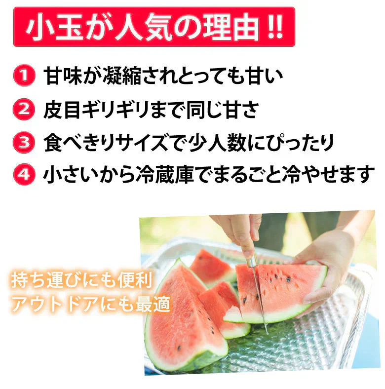 すいか 送料無料 小玉すいか ひとりじめ 秀品2玉 約2～3kg 西瓜 スイカ 熊本県産 お取り寄せ フルーツ