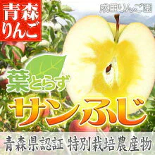 特別栽培 減農薬/化学肥料不使用 葉とらず サンふじ家庭用 約5kg箱(16～18個入)