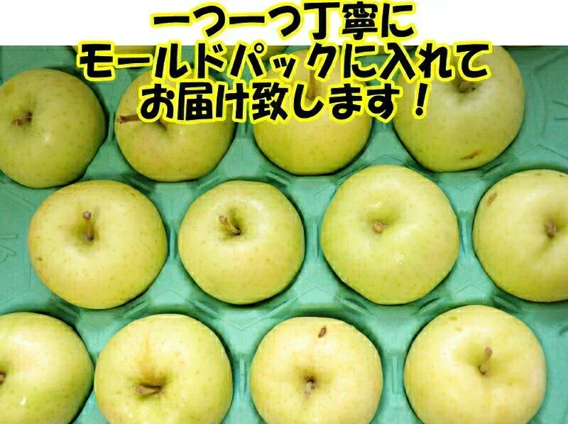 10月9日～発送！青森県産 りんご トキ 5kg箱 家庭用/訳あり ★トキ 家訳 5kg箱