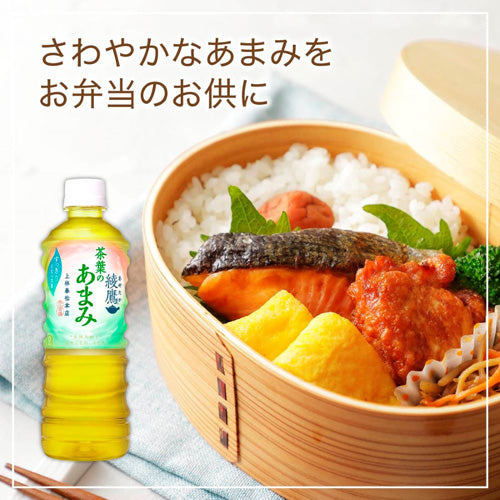 コカ・コーラ 綾鷹 茶葉のあまみ 525ml 24本×2箱（計48本）お茶 緑茶 茶飲料 あやたか コカコーラ