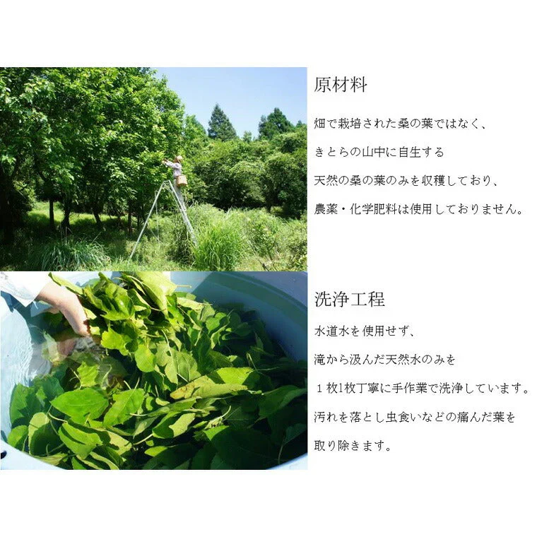 桑の葉茶（大）1袋