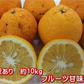 甘夏 訳あり 箱込10kg（9kg+保証分500ｇ）熊本産