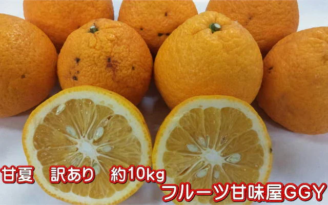 甘夏 訳あり 箱込10kg（9kg+保証分500ｇ）熊本産