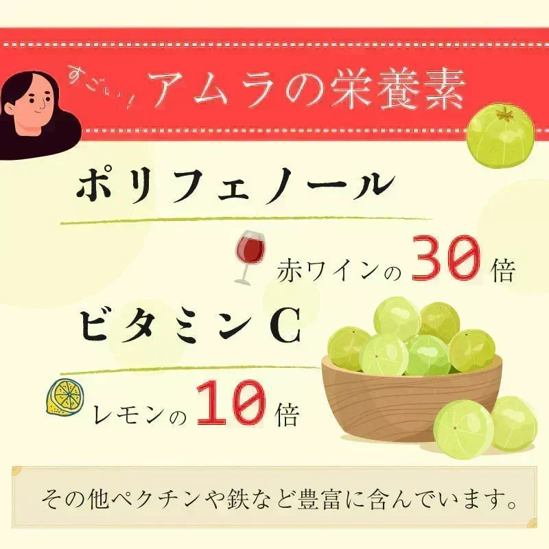 【ご注文殺到につき入荷待ち】 アムラパウダー 無添加 食用 オーガニック 100g 有機 JAS認証 粉末 アムラ 100% パウダー グーズベリー スリランカ ヘアケア 美髪 薄毛 美肌 栄養 健康 サプリメント