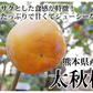 【10月下旬～11月上旬頃より順次出荷】太秋柿 柿 送料無料 秀品3kg 8～14玉入り 熊本・福岡県産 太秋 かき カキ