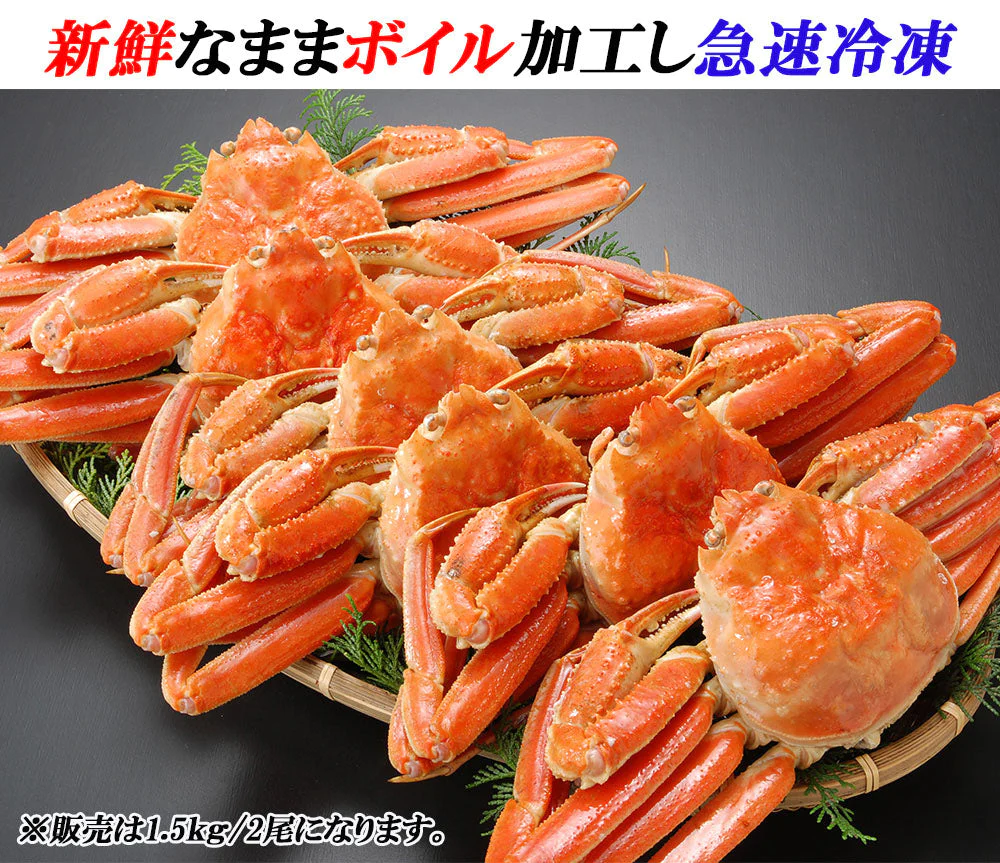 ズワイガニ姿 2尾 ズワイガニ姿ボイル ボイルズワイガニ姿 1.5kg ズワイガニ ずわい蟹 カニ姿 蟹姿 蟹 カニ かに 年末年始 メーカー直送　shr-012