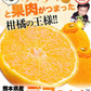 訳あり デコみかん 約5kg (5kg＋不良果保証250g) 送料無料 不知火 みかん ミカン 熊本県産 訳あり デコポン と同品種 熊本 柑橘 目玉商品 くまもと風土《7-14営業日以内に発送予定(土日祝除く)》