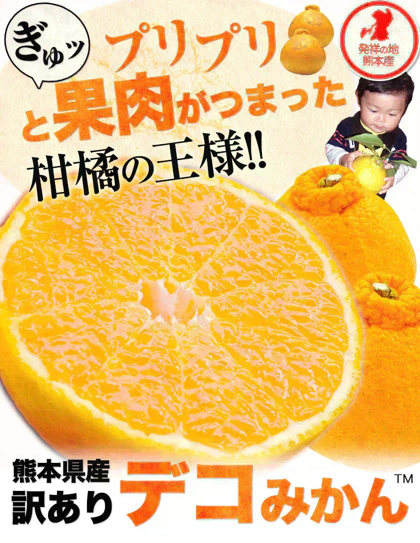 訳あり デコみかん 約5kg (5kg＋不良果保証250g) 送料無料 不知火 みかん ミカン 熊本県産 訳あり デコポン と同品種 熊本 柑橘 目玉商品 くまもと風土《7-14営業日以内に発送予定(土日祝除く)》