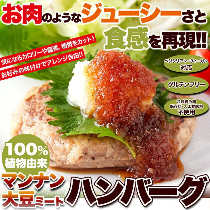 100％植物由来の新感覚 90g×6袋 ハンバーグ !!マンナン大豆 ミートハンバーグ メール便