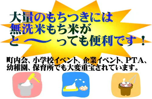令和7年産 無洗米もち米 餅米 無洗米 九州産 もち米25kg（5kg5個セット）送料無料