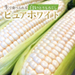 【6月上旬発送】ピュアホワイト 約2キロ 5-8本入り 香川産 朝採り