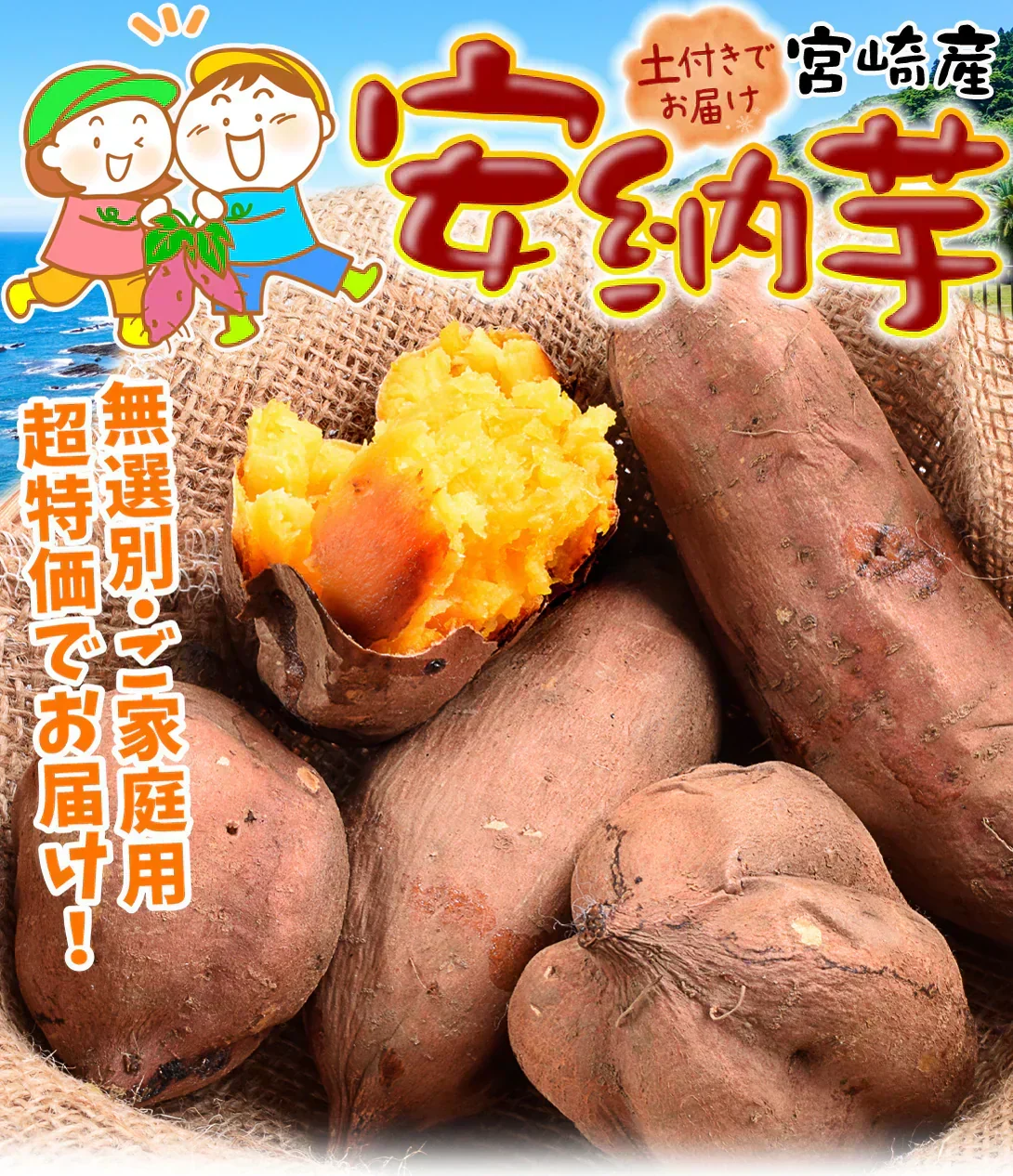 さつまいも 5kg 安納芋 正品 種子島産 送料無料 食品(発送予定:2026年11月中旬より)