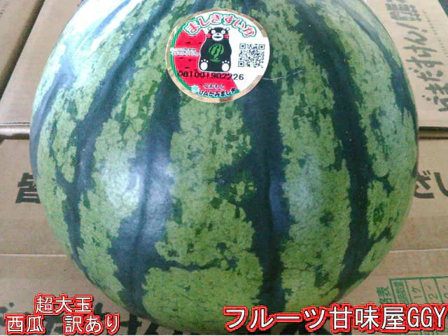 【6月上旬～7月上旬発送予定】超大玉すいか　訳あり　8キロオーバー　大玉限定！　スイカ　すいか　西瓜　熊本産　1玉入り