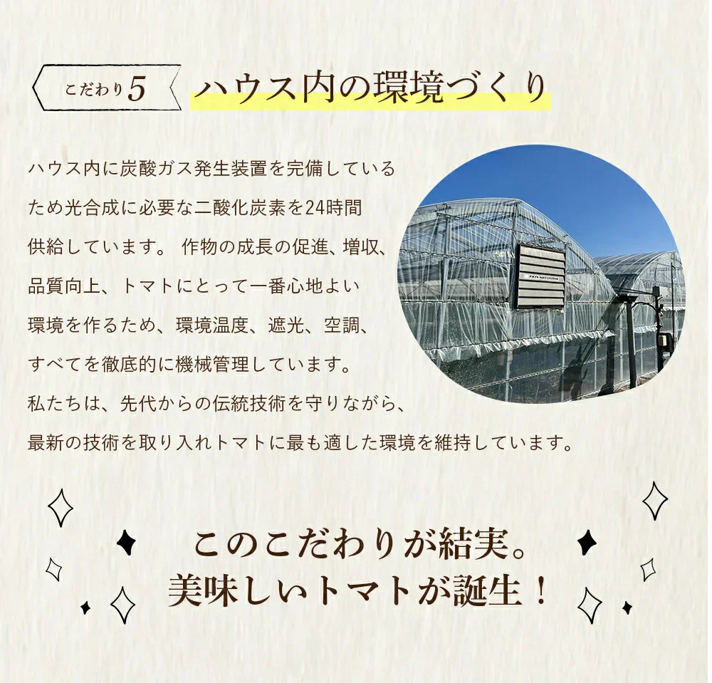 送料無料　ソムリエミニ トマト プラチナ100gとダイヤ100gの食べ比べセット