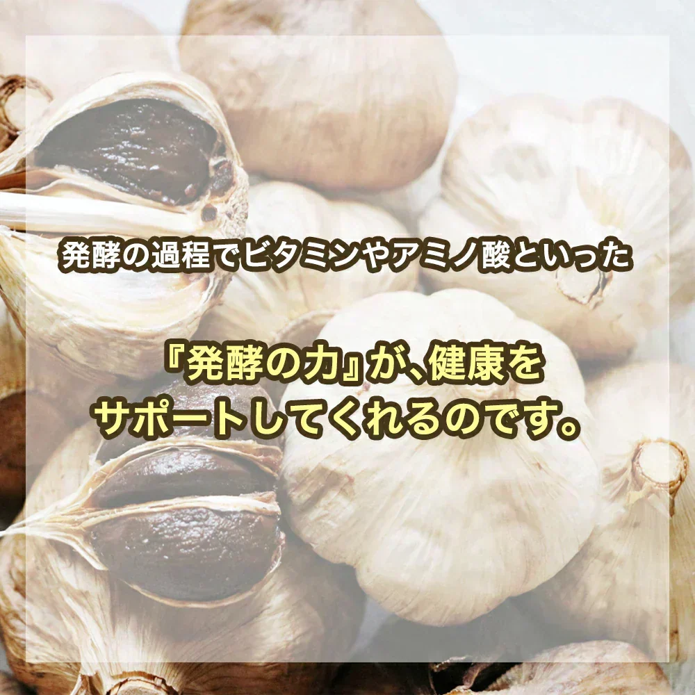 黒ゴマセサミン＆発酵黒ニンニク《約1ヶ月分》サプリ サプリメント 健康  セサミン アルファリポ酸 アリルシステイン アリイン 黒ゴマ 黒にんにく にんにく ニンニク