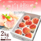 【8月中旬頃-9月中旬頃ご注文受付順次】白桃 約2kg 6-8玉前後 化粧箱 ギフト 秀品 贈り物 桃 モモ ピーチ 山形産 産地直送
