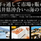 干物 漬け魚 おつまみ 福井の地魚 5種詰め合わせ 真鯛 鰆 サーモン 連子鯛 赤カレイ グルメ 詰め合せ 魚 セット 海鮮 干物セット 魚セット 一夜干し お取り寄せグルメ つまみ 贈答品 海鮮ギフトセット ご飯のおかず おいしい 美味しい 絶品 海鮮セット 母の日 プレゼント