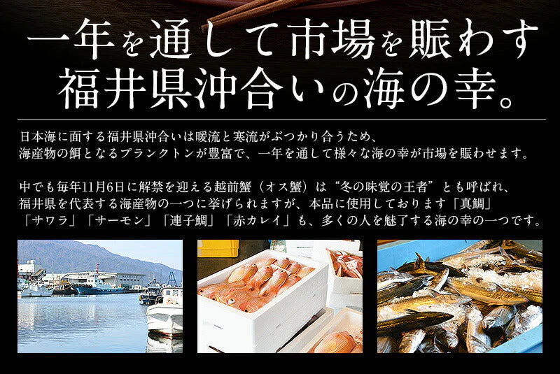 干物 漬け魚 おつまみ 福井の地魚 5種詰め合わせ 真鯛 鰆 サーモン 連子鯛 赤カレイ グルメ 詰め合せ 魚 セット 海鮮 干物セット 魚セット 一夜干し お取り寄せグルメ つまみ 贈答品 海鮮ギフトセット ご飯のおかず おいしい 美味しい 絶品 海鮮セット 母の日 プレゼント