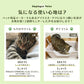 【無香料 / 4袋セット】 猫砂 鉱物 猫 ねこ トイレ 脱臭 抗菌 クリーンサンド 5L 無香料 CLS-5L