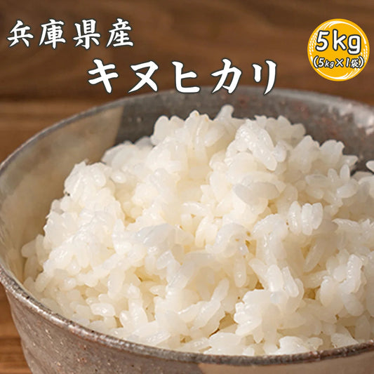 【白米】兵庫県産 キヌヒカリ 5kg 精白米 国産 国産キヌヒカリ100％ 送料無料 精米工場からの直送品