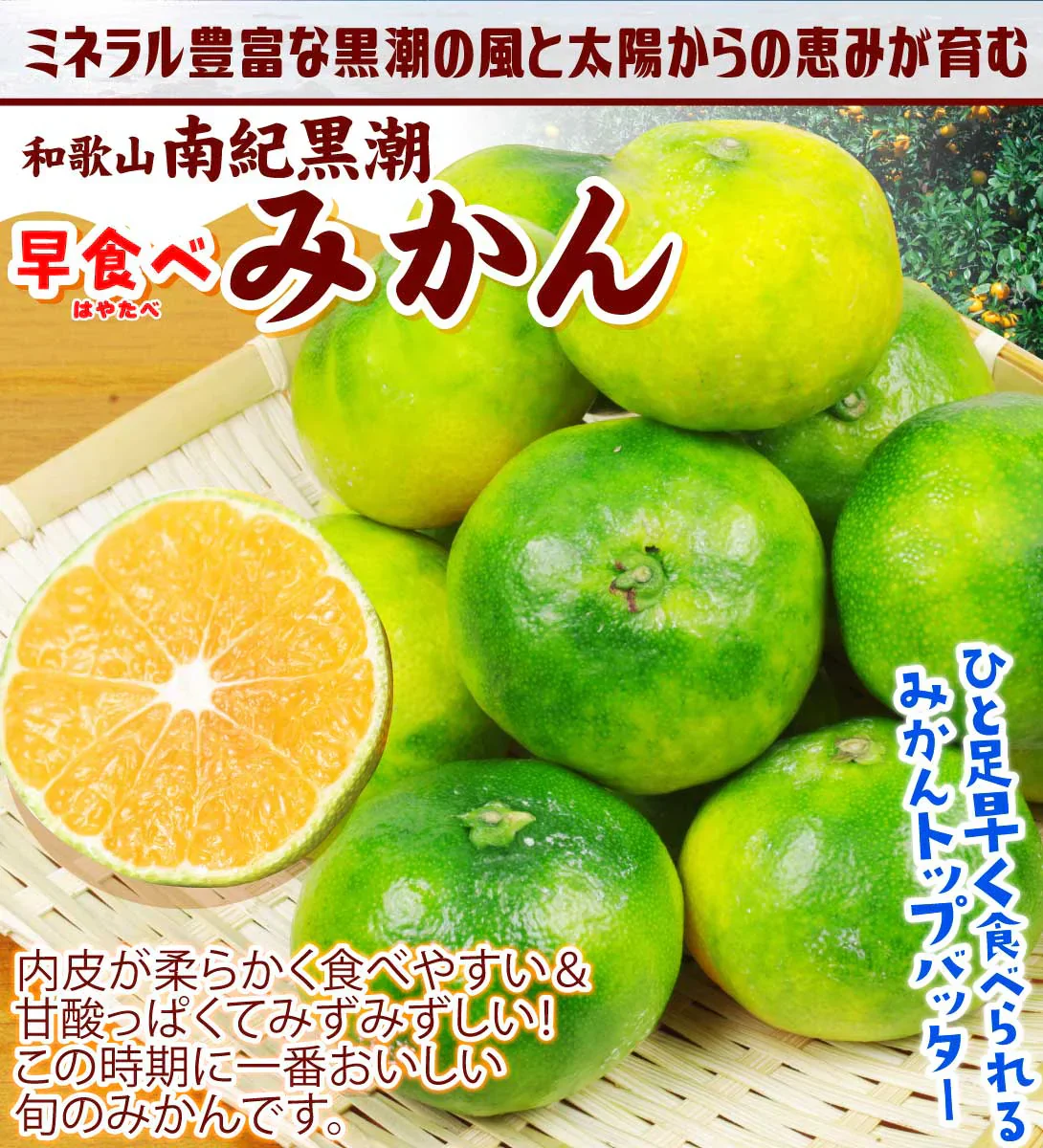 早食べみかん　和歌山産　5kg　ご家庭用 極早生（発送予定：9月下旬より）