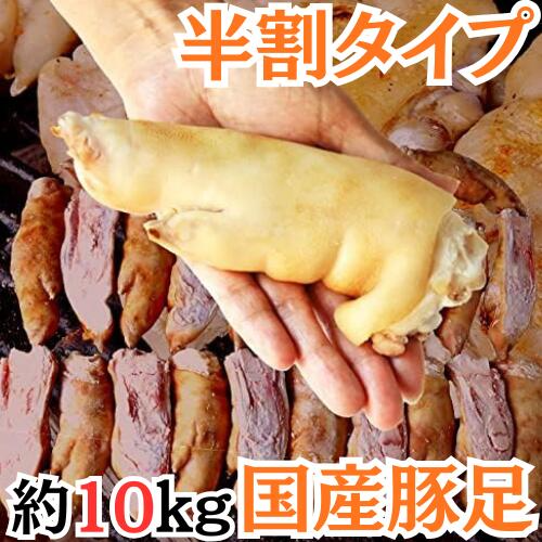 国産 九州 豚足 半割り カット 済み    冷凍 約10kg20〜30本前後 焼足毛処理済