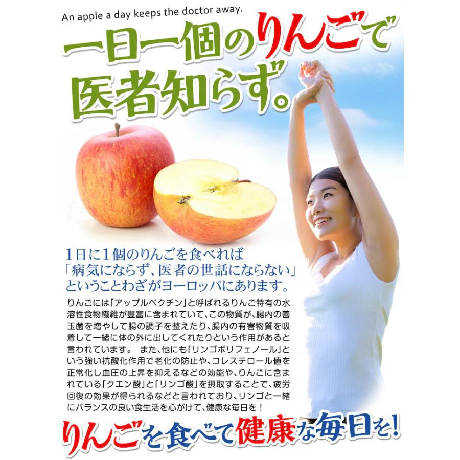 りんご とき 青森産 5kg （発送予定：12月中旬より）