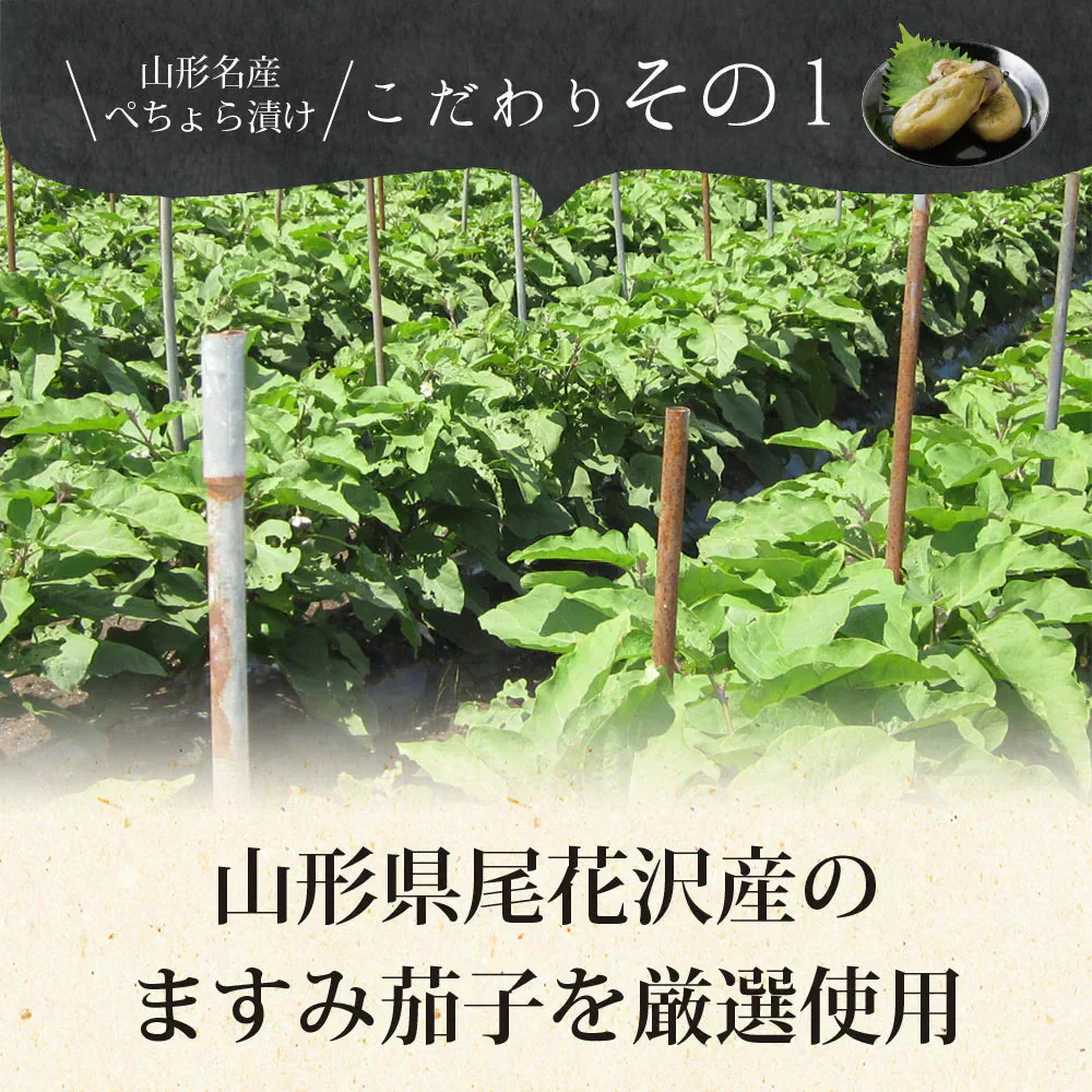 【2個セット】日本橋いなば園 山形名産 ぺちょら漬け 100g ネコポス メール便送料無料